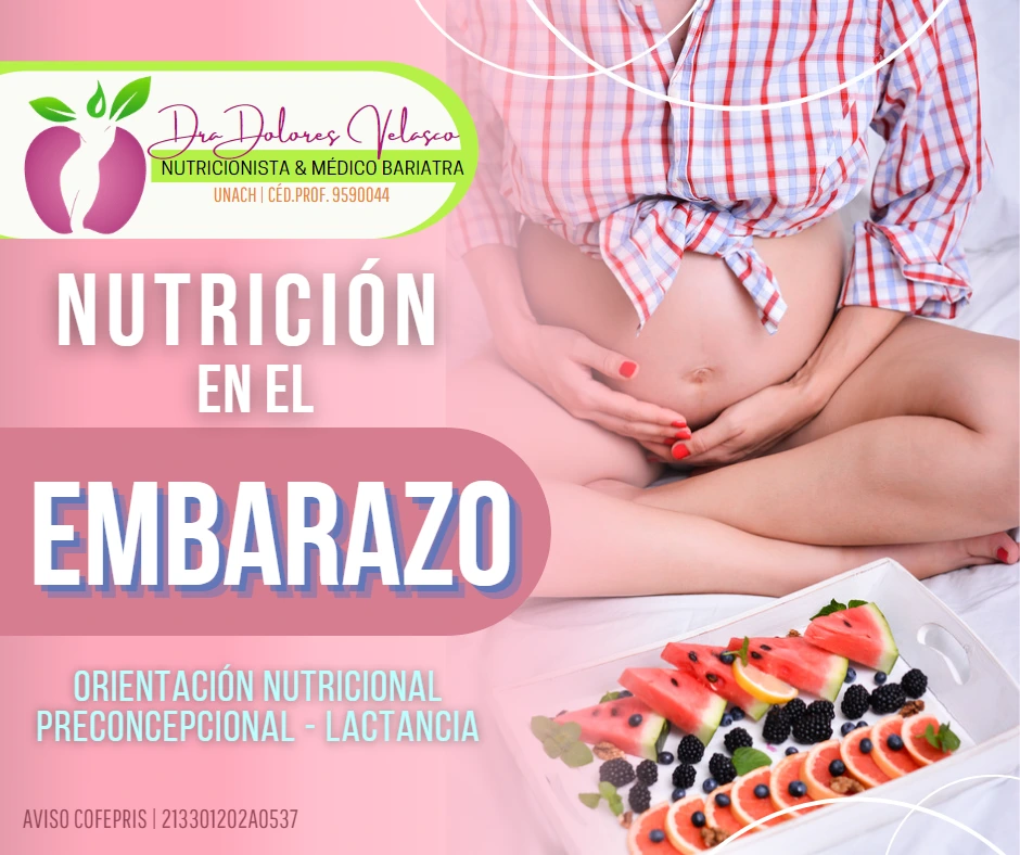 Nutrición en el Embarazo - Preconcepcional y Lactancia