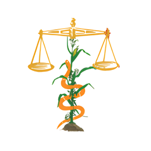 Claustro Iberolatinoamericano